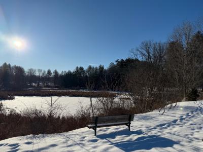 Mill Pond in Winter, February 2025 (Photo credit: Veronique Ludington)