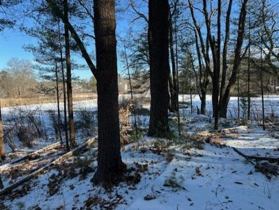 View on Mill Pond, The Meadows, Durham, NH (Photo credit: Veronique Ludington)