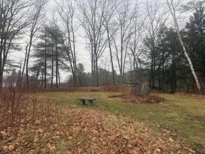 Milne Sanctuary, Durham,NH. April 2025