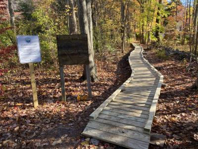 Merrick Trail Boardwalk