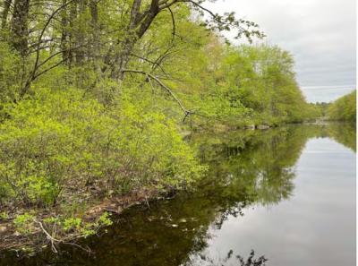 Pike Property