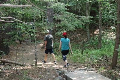 Oyster River Forest trail