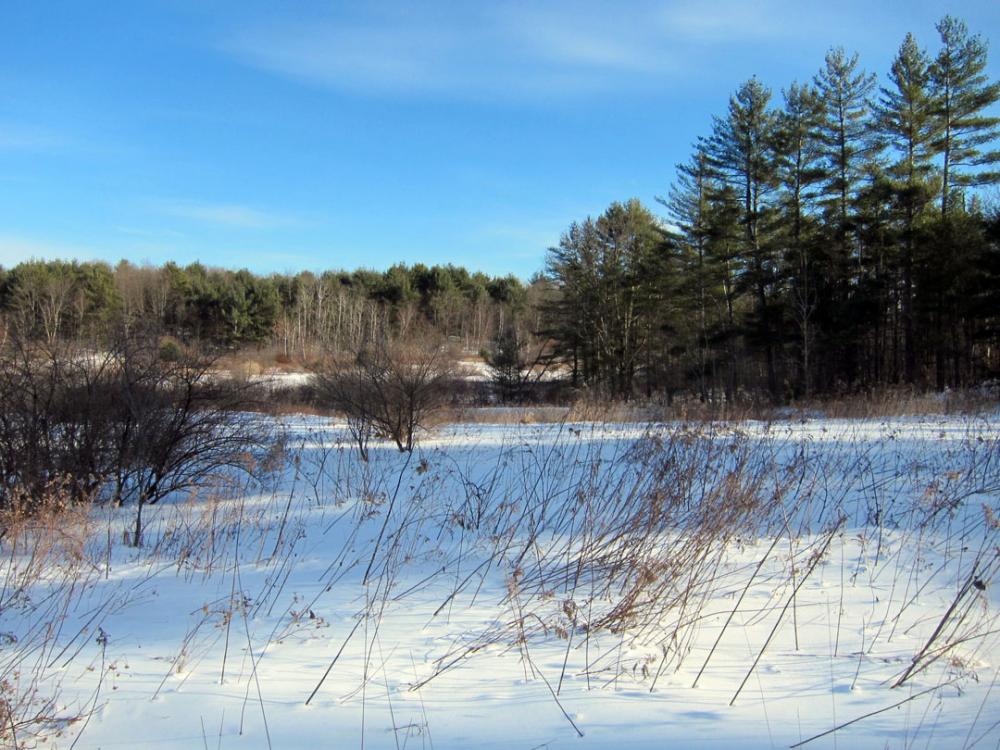 Oyster River Forest The Town of Durham New Hampshire