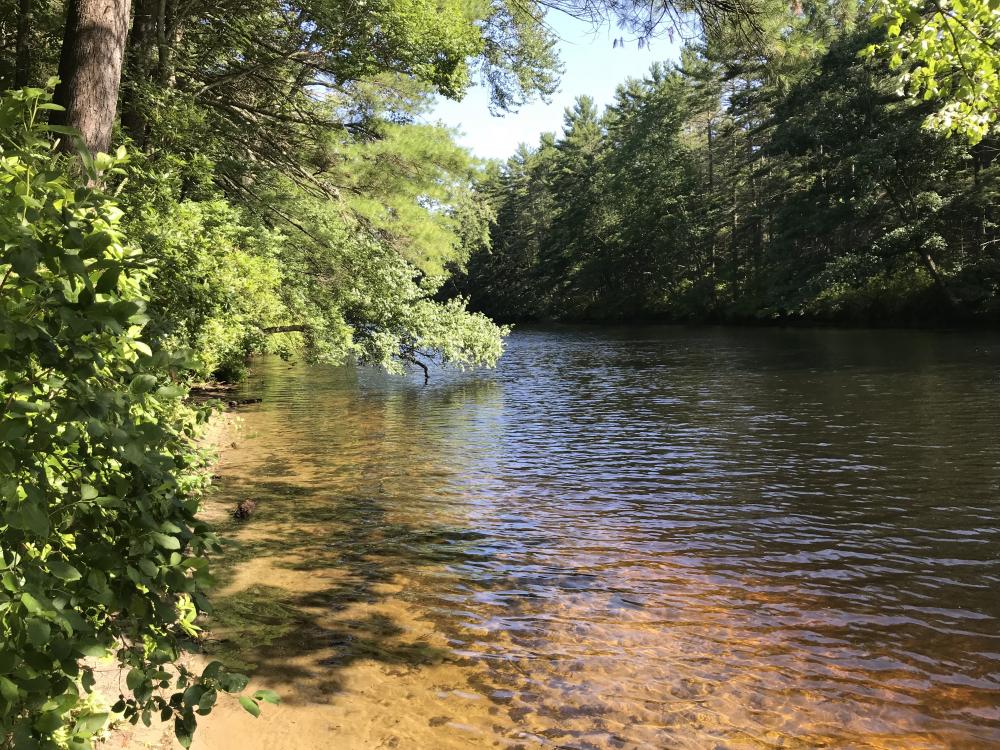 Doe Farm The Town of Durham New Hampshire