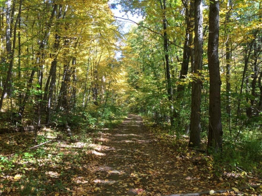 Beech Hill The Town of Durham New Hampshire